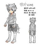  animal_ears bandaged_arm bandaged_leg bandages barefoot blue_eyes character_profile character_sheet commentary drawstring eyebrows_visible_through_hair grey_hoodie grey_shorts highres hood hood_down hoodie male_focus multiple_views original short_sleeves shorts silver_hair slit_pupils touyama_(t3yama2) translated turnaround wolf wolf_ears 