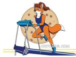  anthro black_nose breasts brown_hair canine clothed clothing cookie dipstick_tail exercise female food fox fur hair mammal marsha_redfox mcarspec multicolored_tail open_mouth orange_fur solo 