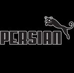  absurd_res black_background digital_media_(artwork) feral hi_res logo nintendo parody persian pok&eacute;mon pok&eacute;mon_(species) puma_(company) simple_background solo the8bither0 video_games whiskers 