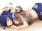  =_= animal animal_on_back blue_hair bracelet closed_eyes commentary_request hair_over_one_eye hemogurobin_a1c jewelry long_hair lying midriff navel on_side on_stomach short_sleeves sleeping sloth_(animal) touhou triangle_mouth yorigami_shion 