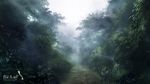  day forest mikago_kotaro nature no_humans outdoors path re:lief_~shin'ai_naru_anata_e~ road scenery tree watermark 