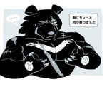  anthro bear blush claws japanese_text kemono komeko-nk male mammal muscular pecs scar sweat text translation_request 