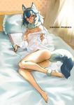  animal_ears areolae ass barefoot bed black_hair blue_eyes breasts brown_eyes chikuwa_(tks) copyright_name covered_nipples curtains eraser frilled_pillow frills fur_collar glasses grey_wolf_(kemono_friends) heterochromia highres holding holding_pencil indoors kemono_friends long_hair lying medium_breasts multicolored_hair naked_shirt off_shoulder on_bed on_side paper parted_lips pencil pillow red-framed_eyewear shirt smile solo tail two-tone_hair white_hair white_shirt wolf_ears wolf_girl wolf_tail 