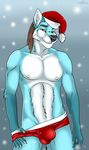  2018 5_fingers absurd_res anthro athletic black_nose blue_fur blurred_background brown_hair bulge canine christmas cinta clothing eyebrows fox fur green_eyes hair hat hi_res holidays looking_at_viewer male mammal multicolored_fur nipples removing_underwear santa_hat smile snow snowing solo standing teasing two_tone_fur underwear white_fur winter 