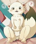  ? anthro besuyama blue_eyes blush bulge clothed clothing ermine fundoshi fur hi_res japanese_clothing koppa looking_at_viewer male mammal mustelid open_mouth shiren_the_wanderer solo spread_legs spreading sweat topless underwear white_clothing white_fur white_underwear 