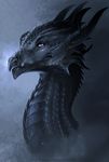  allagar ambiguous_gender dragon feral grey_background grey_eyes grey_scales grey_theme horn portrait scales scalie simple_background solo western_dragon 