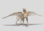  ambiguous_gender anisis avian beak black_spots brown_fur countershading feathered_wings feathers feline feral front_view fur grey_background grey_feathers gryphon looking_at_viewer mammal serval simple_background solo spots standing tan_countershading white_background wings yellow_eyes 