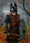  4_fingers amazing_background anisis anthro armor autumn axe belt black_fur blue_eyes bracers branch canine clothed clothing countershading dead_tree detailed_background dog front_view fully_clothed fur grass holding_object holding_weapon humanoid_hands karelian_bear leather leather_armor looking_at_viewer male mammal melee_weapon mist nature notched_ear outside portrait scar shield solo standing tunic viking weapon white_countershading 