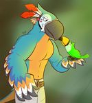  2018 4_fingers ambiguous_gender anthro avian beak belt bird black_beak blue_feathers breath_of_the_wild clothed clothing digital_media_(artwork) duo eyes_closed feathers feral green_feathers happy kass_(zelda) male markings nintendo pants red_feathers rito the_legend_of_zelda topless toucan video_games virdemis white_feathers yellow_beak yellow_feathers 