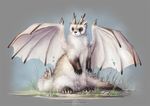  alsares ambiguous_gender antlers brown_markings claws dragon eastern_dragon feral ferret front_view fur furred_dragon gloves_(marking) horn hybrid mammal markings membranous_wings mustelid outside simple_background socks_(marking) solo spread_wings standing white_fur wings 
