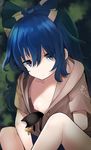  amekosame bangs bare_legs blue_bow blue_eyes blue_hair bow breasts drawstring expressionless hair_between_eyes hair_bow hood hoodie inverted_nipples long_hair looking_at_viewer nipples no_bra short_sleeves sitting small_breasts solo stuffed_animal stuffed_cat stuffed_toy touhou yorigami_shion 