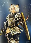  animal_ears armor blue_eyes cat_ears cat_tail doraeshi facial_mark final_fantasy final_fantasy_xi gauntlets highres light_particles mithra paladin_(final_fantasy) pauldrons shield short_hair signature silver_hair solo sword tail thighhighs tiara weapon 