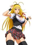  chousen_(ikkitousen) ikkitousen tagme 