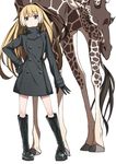  alternate_costume animal arm_at_side bangs black_dress black_footwear black_gloves blonde_hair blue_eyes boots brown_hair buttons closed_mouth cross-laced_footwear dress eyebrows eyebrows_visible_through_hair full_body giraffe gloves gradient_hair hair_between_eyes hand_on_hip high_ponytail hirayama_(hirayamaniwa) kemono_friends lace-up_boots legs_apart long_hair long_sleeves looking_at_viewer multicolored_hair no_animal_ears no_horn no_tail reticulated_giraffe_(kemono_friends) short_dress simple_background solo standing tareme turtleneck white_background white_hair 
