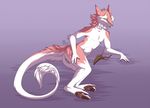  2017 anthro claws darkarlett female fur krysune looking_at_viewer mammal nude paws pinup pose presenting presenting_pussy pussy sergal solo 