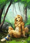  anthro barefoot brown_eyes canine dog female forest full_b grass looking_at_viewer mammal nude outside sitting smile solo tan_fir tan_hair tasanko tree 