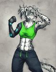  abs anthro blue_eyes breasts clothed clothing feline female fur grey_fur leopard mammal midriff navel prosthetic snow_leopard solo tasanko 