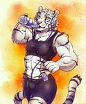  5_fingers amber_eyes anthro breasts feline female fur mammal muscular muscular_female solo striped_fur stripes tasanko tiger traditional_media_(artwork) water_bottle watercolor_(artwork) white_fur 