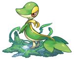  from_side full_body gen_5_pokemon grass looking_at_viewer looking_to_the_side no_humans pearl7 pokemon pokemon_(creature) simple_background smile snivy solo standing water white_background 