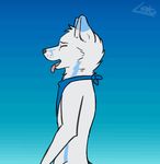  2017 animated anthro arctic_fox bandanna black_nose blue_fur blue_markings canine eyes_closed fox fur leto_(letodoesart) letodoesart male mammal markings nude open_mouth simple_background thrusting tongue tongue_out 