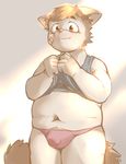  5_fingers anthro band-aid bandage blush briefs brown_eyes brown_hair bulge canine clothed clothing clothing_lift fur hair kotanuki male mammal navel obese overweight pink_nose shirt shirt_lift simple_background solo standing tank_top teenager underwear white_fur young 