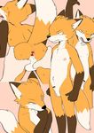  2018 animal_genitalia anthro anus balls canine fox male male/male mammal manmosu_marimo nipples nude senior_fox sheath 