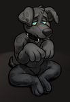  2015 3_fingers 3_toes anthro begging black_background black_collar canine collar cubi digital_drawing_(artwork) digital_media_(artwork) dog hi_res hypnosis kougo looking_at_viewer male mammal mind_control petplay roleplay rubber simple_background sitting solo spiral spiral_eyes toes 