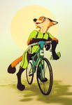  2016 anthro athletic bicycle black_fur black_nose blue_eyes bottle canine clothed clothing digital_drawing_(artwork) digital_media_(artwork) flir flir_(fox) fox fur hi_res holding_object kour male mammal multicolored_fur open_mouth orange_fur simple_background smile solo sweat tan_fur teeth tongue tongue_out water_bottle 