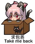 animal_ears bangs blush blush_stickers bow box cat cat_paws chinese commentary_request engrish eyebrows_visible_through_hair for_adoption fujiwara_no_mokou hair_between_eyes hair_bow in_box in_container long_hair lowres open_box paws pink_hair ranguage red_eyes shangguan_feiying simple_background solo squatting touhou translated white_background 