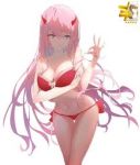  tagme zero_two 