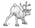  2018 animal_genitalia antlers anus balls cervine ecmajor feral hooves horn looking_at_viewer looking_back male mammal penis penis_tip presenting raised_tail reindeer sheath solo tongue tongue_out 