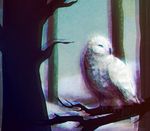  2017 ambiguous_gender anaglyph avian beak bird black_beak blue_eyes branch chromatic_aberration feathers feral owl solo star-reapers stereogram tree watermark white_feathers wings 