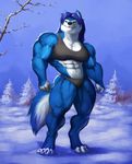  2018 4_toes abs anthro barefoot biceps big_muscles biped black_bottomwear black_bra black_clothing black_nose black_panties black_topwear black_underwear blue_claws blue_fur blue_hair blue_sky blue_tail bra breasts canine claws clothed clothing countershade_tail countershade_torso countershading day detailed_background digital_media_(artwork) digitigrade female fluffy fluffy_tail front_view full-length_portrait fur hair hopey long_hair mammal multicolored_fur multicolored_tail muscular muscular_female outside panties portrait quads serratus sky smile snow solo sports_bra standing sugarboy toe_claws toes tree two_tone_fur two_tone_tail underwear vein veiny_muscles white_fur white_tail wolf yellow_eyes 