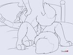  2018 3_toes anal anal_penetration anthro balls bdsm bed blindfold blush bondage bound canine chocolatekitsune cowgirl_position digital_drawing_(artwork) digital_media_(artwork) dipstick_tail duo fox fur goldfox male male/male mammal monochrome multicolored_tail nude on_bed on_top penetration penetrational penis sex sound_effects text toes wrist_cuff 