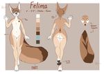 anthro canine featureless_crotch felima_(character) fennec fox fur girly hair looking_at_viewer male mammal model_sheet redpixie solo standing 