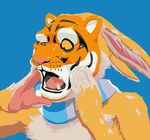  4_fingers anthro blue_background clothed clothing digital_drawing_(artwork) digital_media_(artwork) feline flir flir_(rabbit) fur lagomorph long_ears male mammal mask multicolored_fur open_mouth rabbit rubber scarf shiny simple_background solo swatcher tan_fur teeth tiger tongue transformation two_tone_fur white_fur 