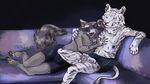  black_background bulge colored deerface_(artist) eyewear feline fluffy hug jewelry mammal necklace paws procyonid raccoon reiora_(character) ringtail simple_background sofa sunglasses tervos_(character) tiger white_tiger 