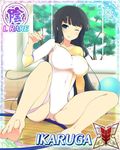  1girl ikaruga_(senran_kagura) senran_kagura senran_kagura_(series) solo 