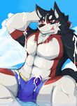  akitakacbr anthro athletic black_nose blush bulge canine clothed clothing cum cum_on_chest cum_through_clothing dog male mammal muscular red_eyes shorts simple_background solo tight_clothing tongue tongue_out water 
