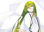  black_eyes cloak enkidu_(fate/strange_fake) fate/stay_night fate_(series) green_hair long_hair looking_at_viewer yuuki_(irodo_rhythm) 