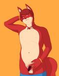  bracelet canine clothed clothing fox hair jewelry male mammal navel necklace nipples nishi orange_background pants_down partially_clothed penis pubes simple_background 