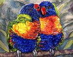  2002 ambiguous_gender avian beak bird blue_eyes blue_feathers branch detailed_background duo feathered_wings feathers feral front_view green_feathers lorikeet nibbling novawuff nuzzling on_branch orange_beak outside rainbow_lorikeet red_beak red_feathers standing traditional_media_(artwork) wings yellow_feathers 