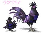  back bird chicken clothed_animal denmoko doubutsu_no_mori feathered_wings feathers furry kurobee_(doubutsu_no_mori) no_humans open_mouth rooster simple_background solo sparkle white_background wings 