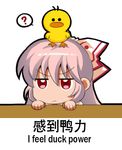  ? animal animal_on_head bird bow chibi chinese commentary_request duck english eyebrows_visible_through_hair fujiwara_no_mokou hair_bow looking_at_viewer lowres on_head red_eyes shangguan_feiying simple_background spoken_question_mark touhou translated v-shaped_eyebrows white_background white_bow white_hair 