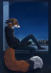  2017 4_toes anthro black_fur black_nose blurred_background brown_hair canine clothing depression digitigrade ears_back egsaku_(character) fox fur gloves_(marking) green_eyes hair hi_res holding_object hoodie jeans male mammal markings multicolored_fur night orange_fur pants side_view sitting sky solo toes two_tone_fur upset viskasunya white_fur 