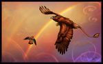  2008 abstract_background ambiguous_gender avian beak black_markings blue_eyes brown_feathers double_rainbow duo feathered_wings feathers feral flying grey_beak grey_feathers gryphon kestrel looking_back markings novawuff rainbow red_feathers tail_feathers tail_tuft tuft wings 