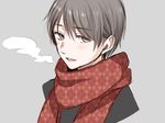  :d bangs blush breath checkered checkered_scarf chisumi cropped_torso eyebrows_visible_through_hair grey_background grey_eyes grey_hair hair_between_eyes looking_at_viewer male_focus open_mouth original portrait red_scarf scarf simple_background smile solo upper_body 