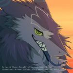  2016 ambiguous_gender anthro black_fur evening fluffy forked_tongue fur green_eyes grey_fur grin headshot_portrait looking_at_viewer markings multicolored_fur neck_tuft orange_background portrait seductive_eyes sergal sharp_teeth sidgi simple_background slit_pupils smile solo sunset teeth tongue tongue_out tuft two_tone_fur 
