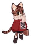 2018 anthro bag brown_fur brown_markings cat clothed clothing domestic_cat feline female footwear front_view fully_clothed fur gloves green_eyes holding_bag inner_ear_fluff juanmao1997 legwear looking_at_viewer mammal markings scarf shoes simple_background socks solo standing stripes sweater white_background 