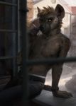  2018 5_fingers absurd_res anthro belt black_eyes brown_fur brown_hair brown_sclera cigarette claws clothed clothing day digital_media_(artwork) fur hair hax_(artist) hi_res hyena inside jeans kenket lofi looking_up male mammal nipples pants sitting smoking solo topless town watch watermark white_underwear window 